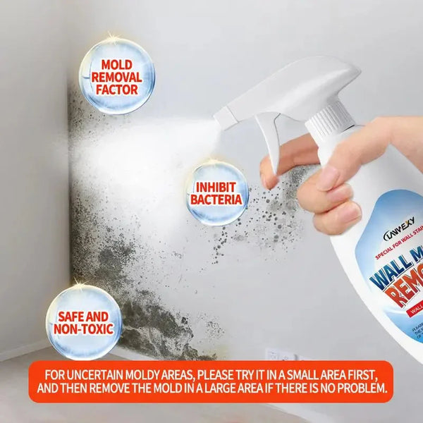 Highly Effective Mould Removal Spray