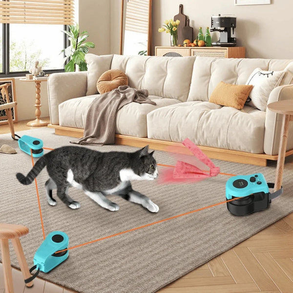 Interactive Cat Treadmill Toy
